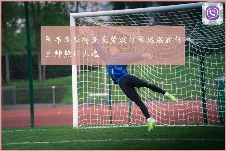 阿韦洛亚转正无望波切蒂诺成新任主帅热门人选