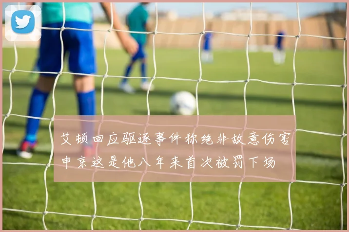 艾顿回应驱逐事件称绝非故意伤害申京这是他八年来首次被罚下场